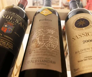 vinigallery